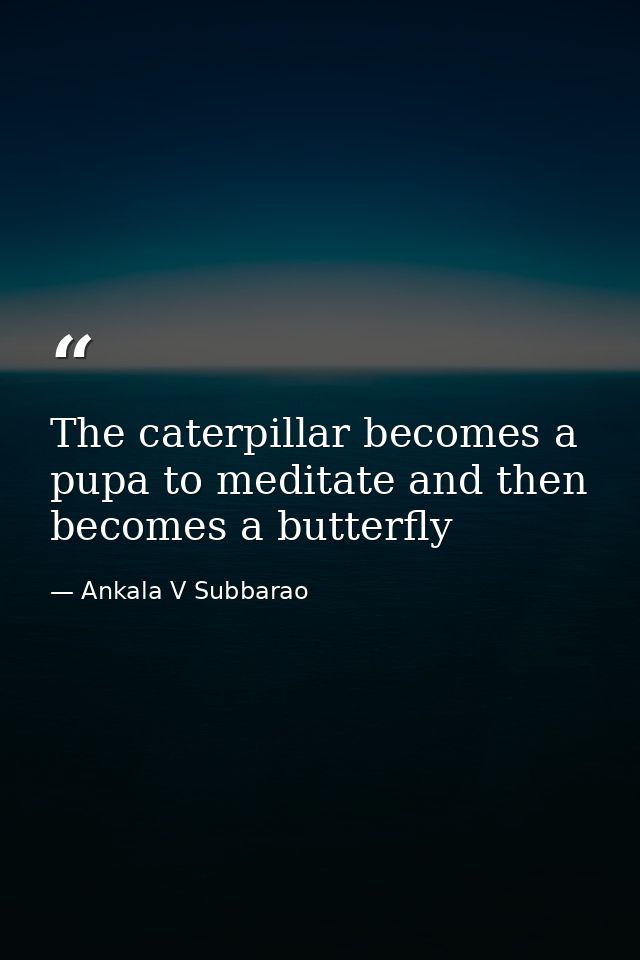 The caterpillar becomes a pupa to meditate and then becomes a butterfly — Ankala V Subbarao