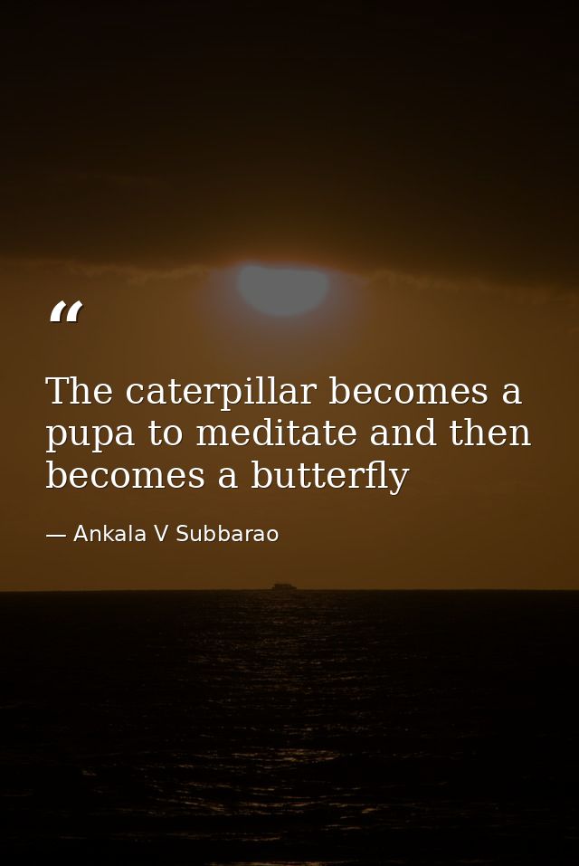 The caterpillar becomes a pupa to meditate and then becomes a butterfly — Ankala V Subbarao