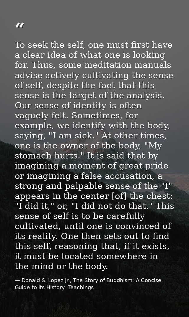 To seek the self, one must first have a clear idea of what one is looking for. Thus, some meditation manuals advise acti — Donald S. Lopez Jr., The Story of Buddhism: A Concise Guide to Its History  Teachings