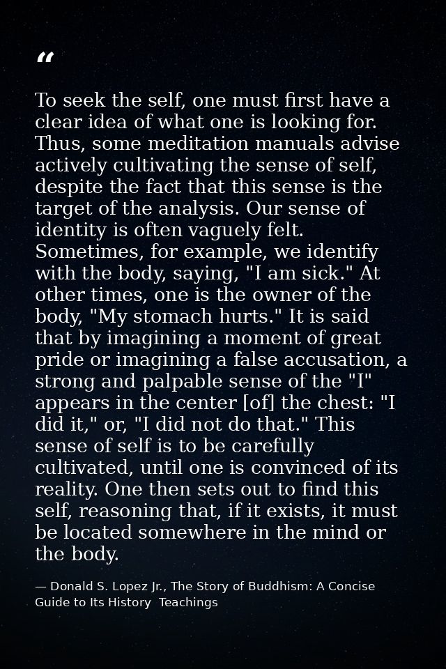To seek the self, one must first have a clear idea of what one is looking for. Thus, some meditation manuals advise acti — Donald S. Lopez Jr., The Story of Buddhism: A Concise Guide to Its History  Teachings