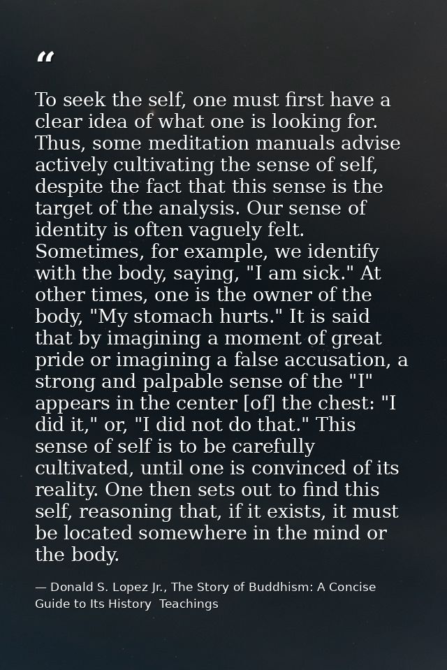 To seek the self, one must first have a clear idea of what one is looking for. Thus, some meditation manuals advise acti — Donald S. Lopez Jr., The Story of Buddhism: A Concise Guide to Its History  Teachings
