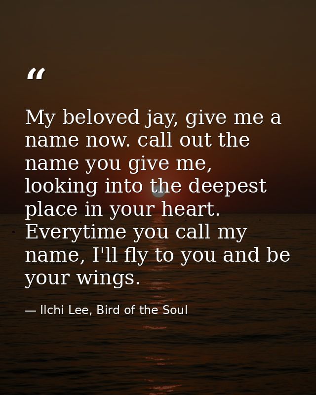 My beloved jay, give me a name now. call out the name you give me, looking into the deepest place in your heart. Everyti — Ilchi Lee, Bird of the Soul