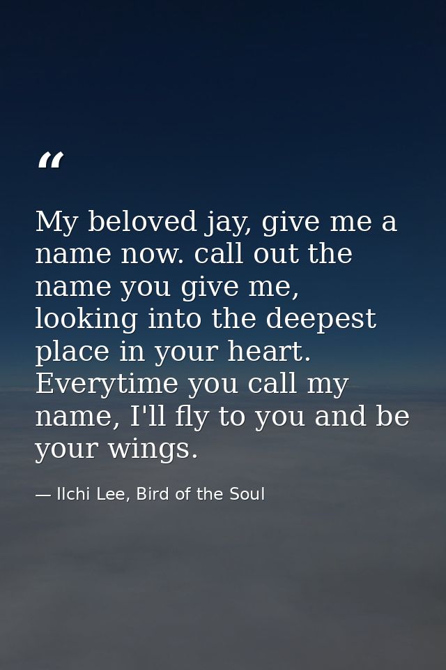My beloved jay, give me a name now. call out the name you give me, looking into the deepest place in your heart. Everyti — Ilchi Lee, Bird of the Soul