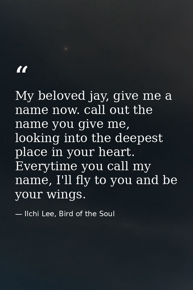 My beloved jay, give me a name now. call out the name you give me, looking into the deepest place in your heart. Everyti — Ilchi Lee, Bird of the Soul