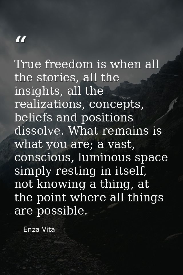True freedom is when all the stories, all the insights, all the realizations, concepts, beliefs and positions dissolve.  — Enza Vita