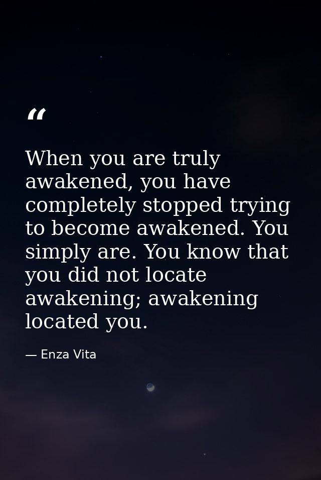 When you are truly awakened, you have completely stopped trying to become awakened. You simply are. You know that you di — Enza Vita
