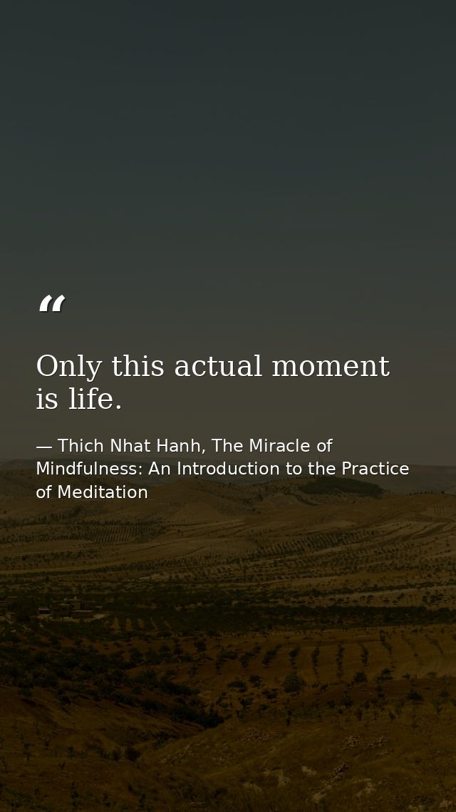 Only this actual moment is life. — Thich Nhat Hanh, The Miracle of Mindfulness: An Introduction to the Practice of Meditation