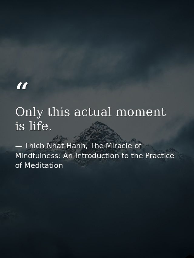 Only this actual moment is life. — Thich Nhat Hanh, The Miracle of Mindfulness: An Introduction to the Practice of Meditation