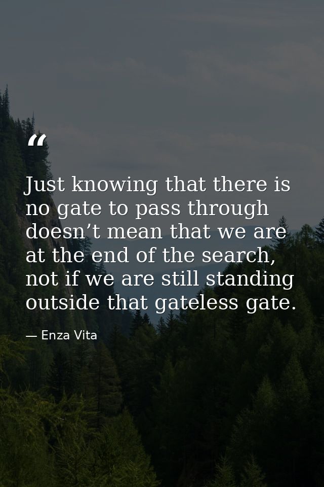 Just knowing that there is no gate to pass through doesn’t mean that we are at the end of the search, not if we are stil — Enza Vita