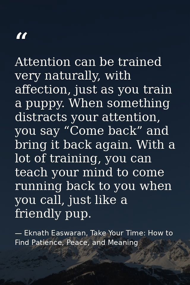 Attention can be trained very naturally, with affection, just as you train a puppy. When something distracts your attent — Eknath Easwaran, Take Your Time: How to Find Patience, Peace, and Meaning