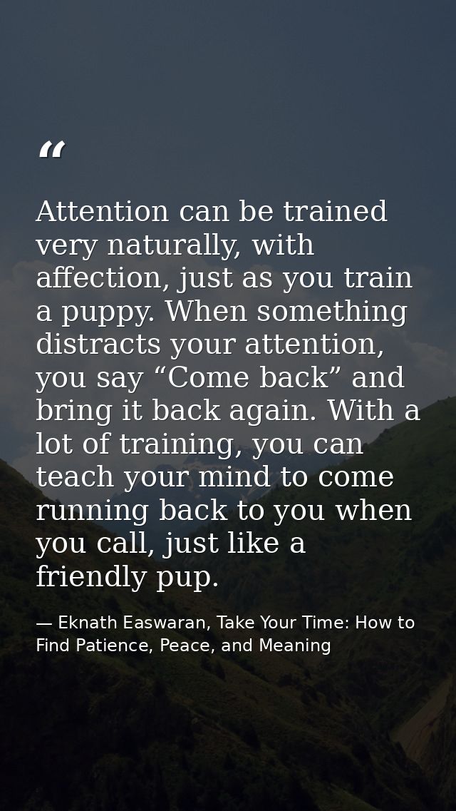 Attention can be trained very naturally, with affection, just as you train a puppy. When something distracts your attent — Eknath Easwaran, Take Your Time: How to Find Patience, Peace, and Meaning