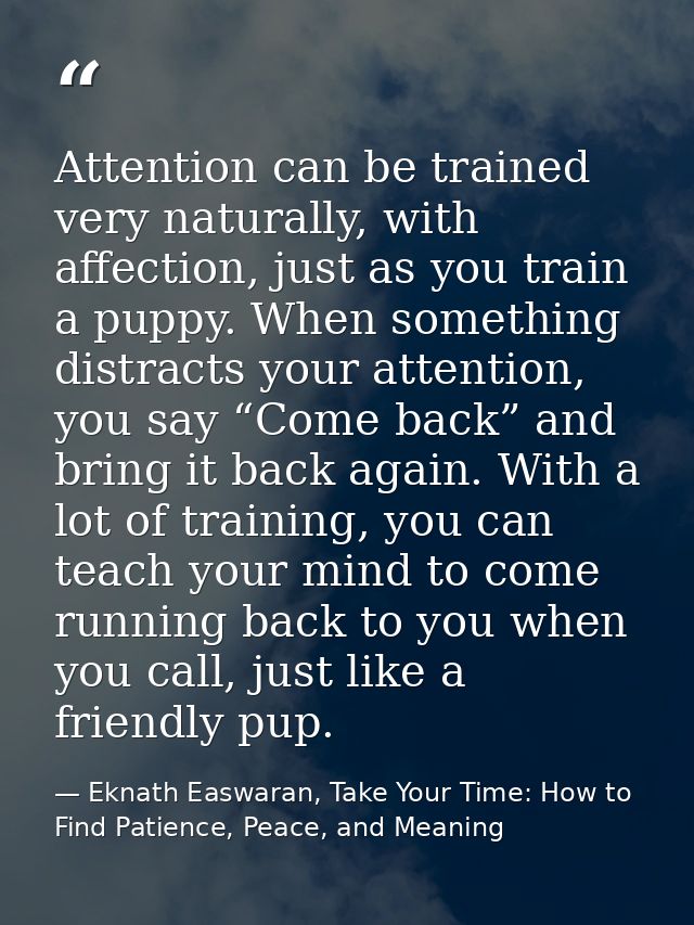 Attention can be trained very naturally, with affection, just as you train a puppy. When something distracts your attent — Eknath Easwaran, Take Your Time: How to Find Patience, Peace, and Meaning