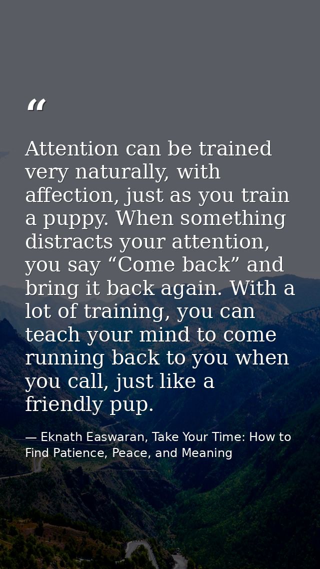 Attention can be trained very naturally, with affection, just as you train a puppy. When something distracts your attent — Eknath Easwaran, Take Your Time: How to Find Patience, Peace, and Meaning