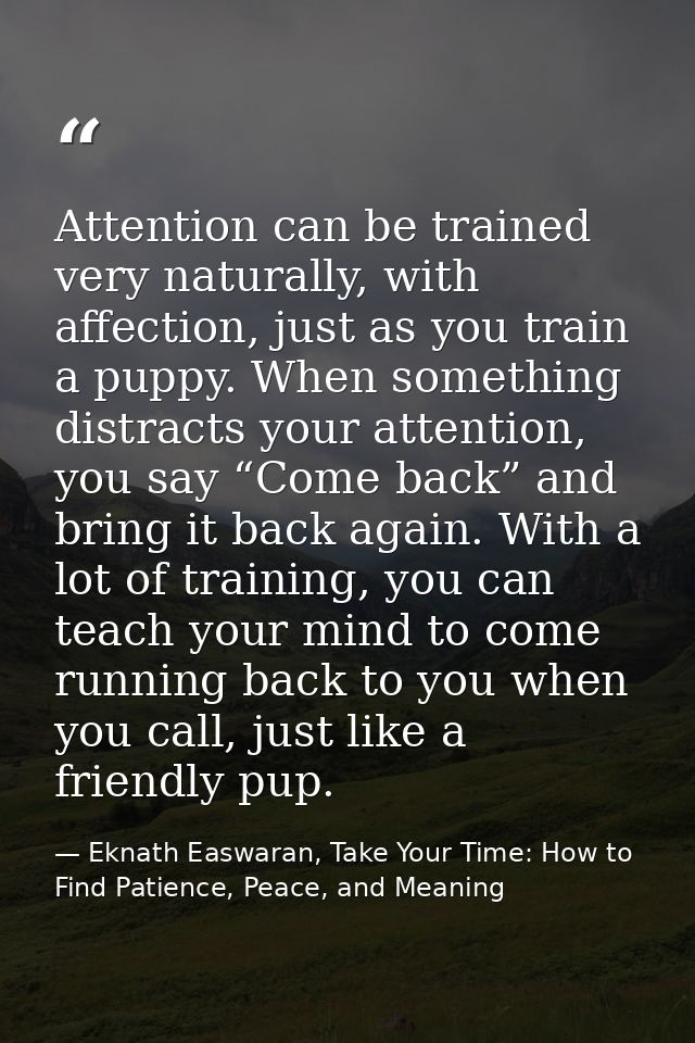 Attention can be trained very naturally, with affection, just as you train a puppy. When something distracts your attent — Eknath Easwaran, Take Your Time: How to Find Patience, Peace, and Meaning