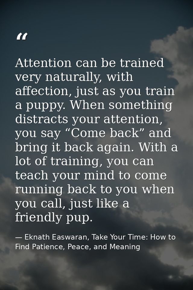 Attention can be trained very naturally, with affection, just as you train a puppy. When something distracts your attent — Eknath Easwaran, Take Your Time: How to Find Patience, Peace, and Meaning