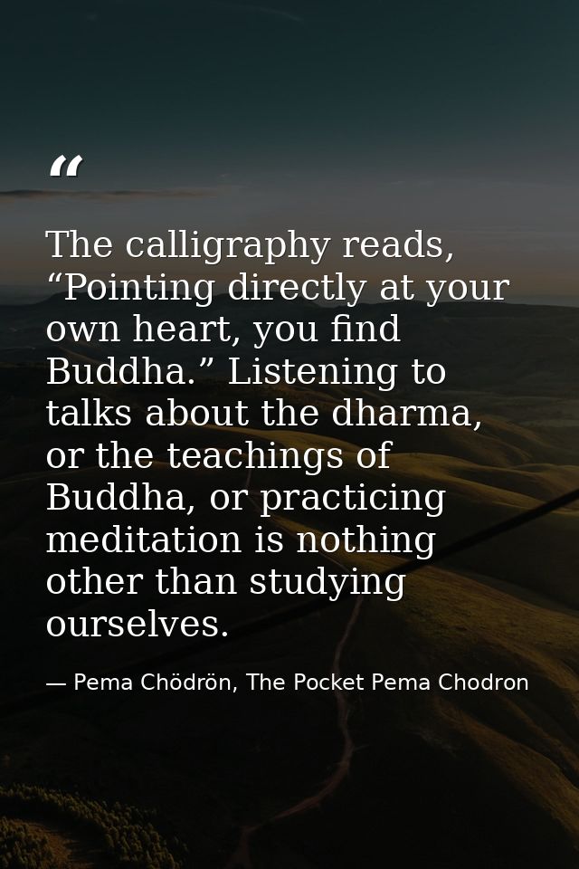 The calligraphy reads, “Pointing directly at your own heart, you find Buddha.” Listening to talks about the dharma, or t — Pema Chödrön, The Pocket Pema Chodron