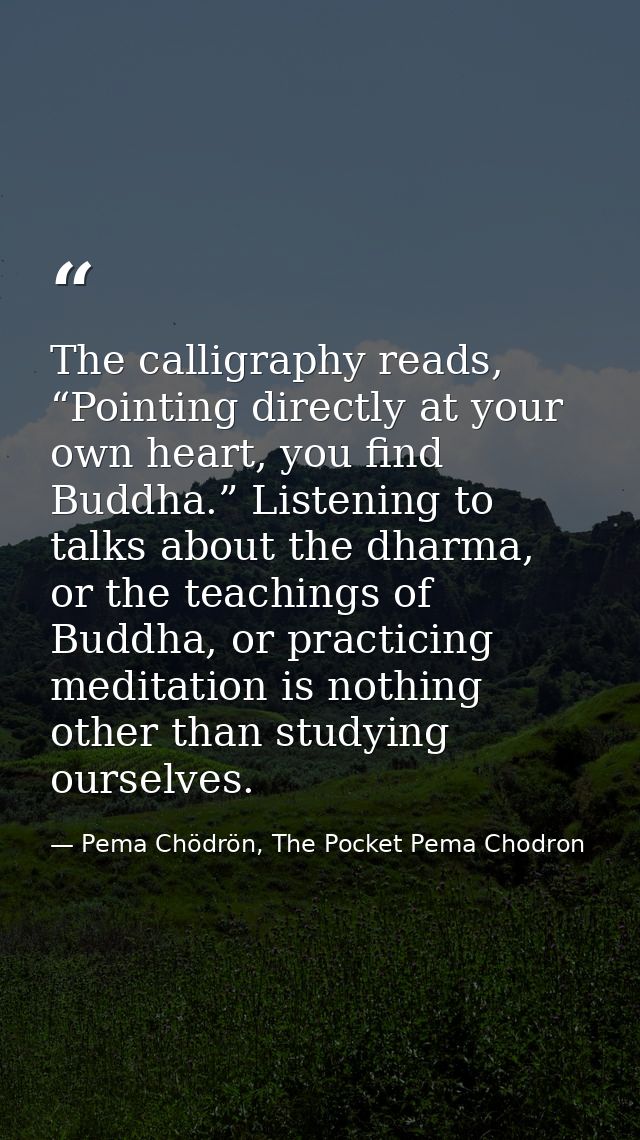 The calligraphy reads, “Pointing directly at your own heart, you find Buddha.” Listening to talks about the dharma, or t — Pema Chödrön, The Pocket Pema Chodron
