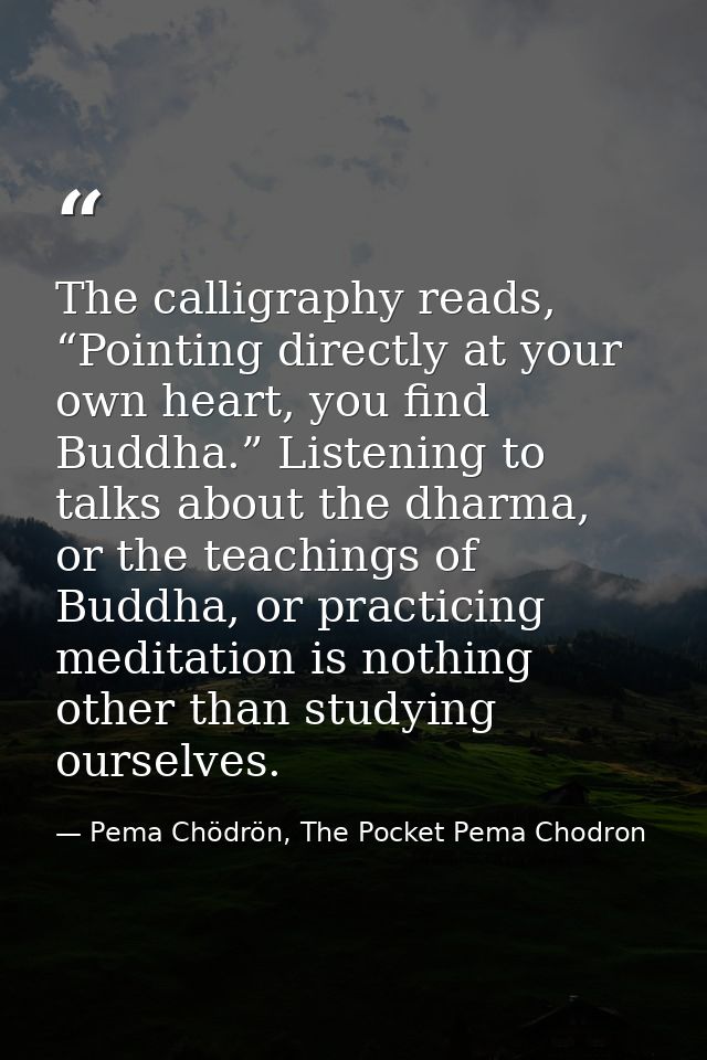 The calligraphy reads, “Pointing directly at your own heart, you find Buddha.” Listening to talks about the dharma, or t — Pema Chödrön, The Pocket Pema Chodron