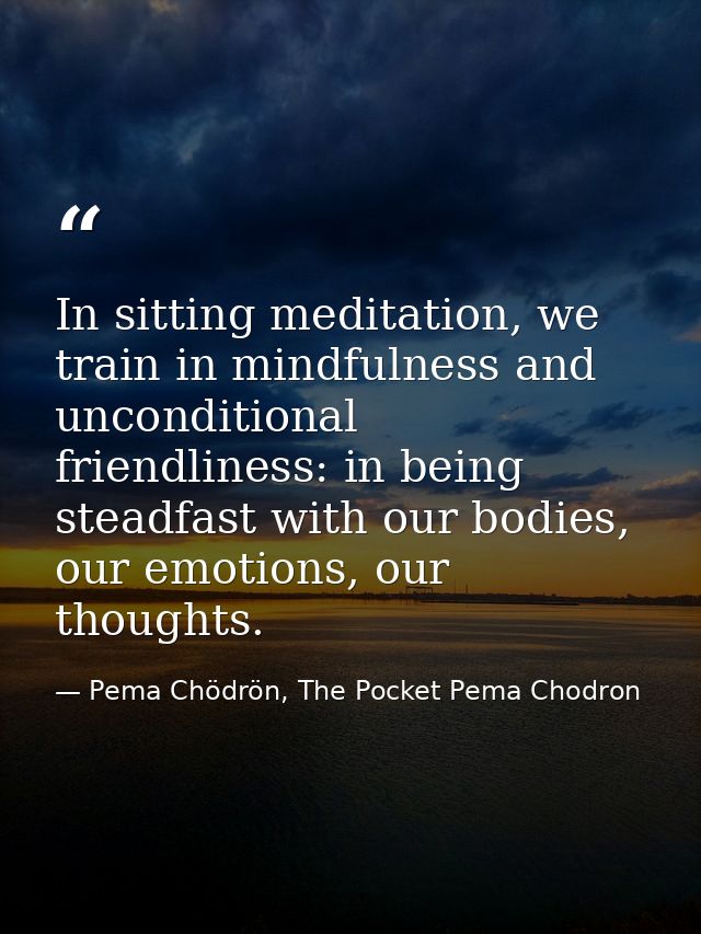 In sitting meditation, we train in mindfulness and unconditional friendliness: in being steadfast with our bodies, our e — Pema Chödrön, The Pocket Pema Chodron