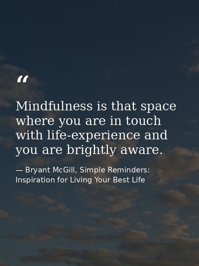 Mindfulness is that space where you are in touch with life-experience and you are brightly aware. — Bryant McGill, Simple Reminders: Inspiration for Living Your Best Life