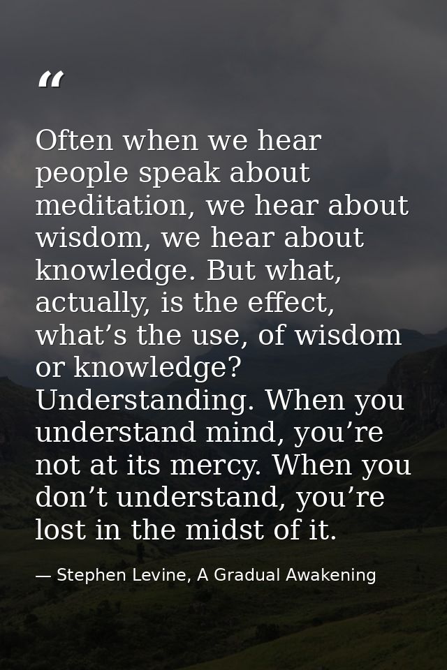 Often when we hear people speak about meditation, we hear about wisdom, we hear about knowledge. But what, actually, is  — Stephen Levine, A Gradual Awakening