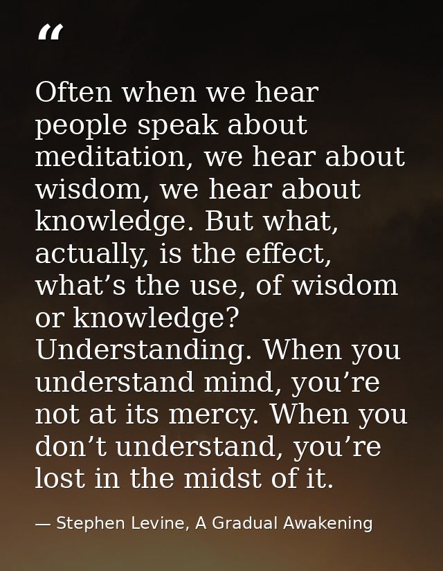 Often when we hear people speak about meditation, we hear about wisdom, we hear about knowledge. But what, actually, is  — Stephen Levine, A Gradual Awakening