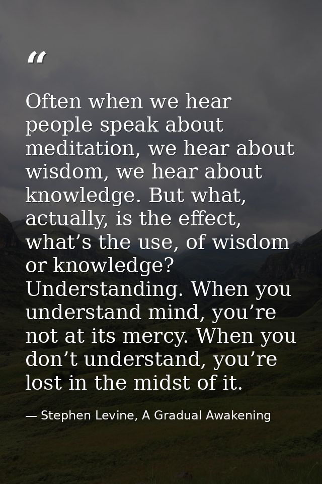 Often when we hear people speak about meditation, we hear about wisdom, we hear about knowledge. But what, actually, is  — Stephen Levine, A Gradual Awakening
