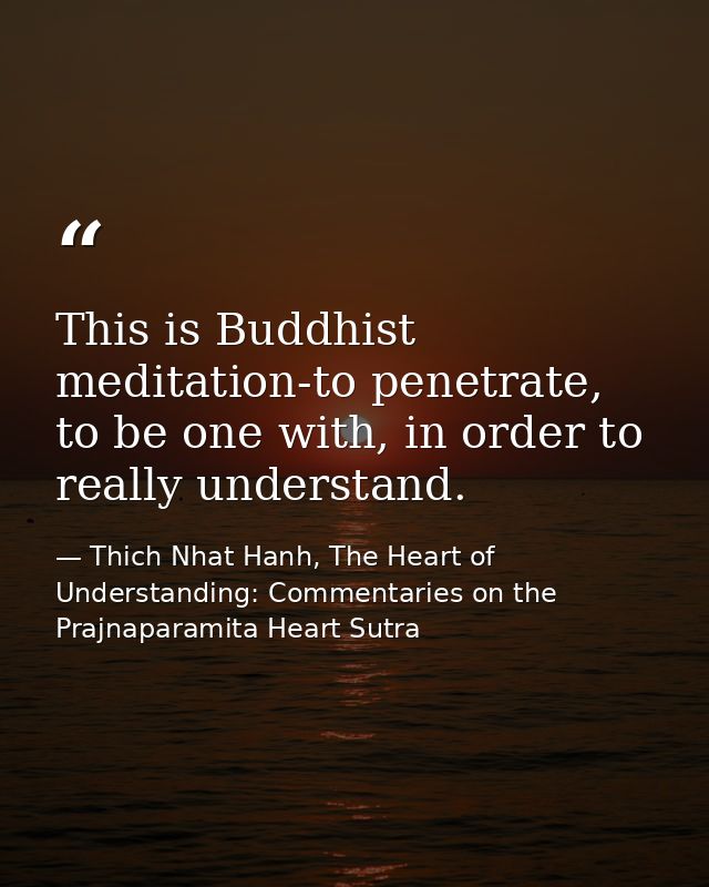 This is Buddhist meditation-to penetrate, to be one with, in order to really understand. — Thich Nhat Hanh, The Heart of Understanding: Commentaries on the Prajnaparamita Heart Sutra