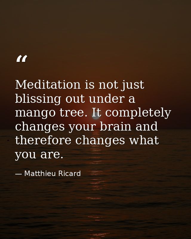 Meditation is not just blissing out under a mango tree. It completely changes your brain and therefore changes what you  — Matthieu Ricard