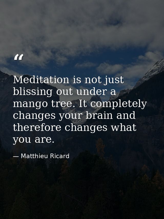 Meditation is not just blissing out under a mango tree. It completely changes your brain and therefore changes what you  — Matthieu Ricard