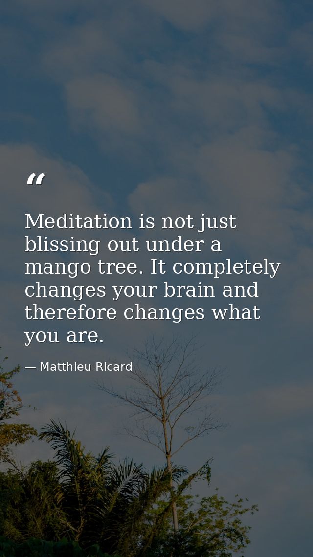 Meditation is not just blissing out under a mango tree. It completely changes your brain and therefore changes what you  — Matthieu Ricard