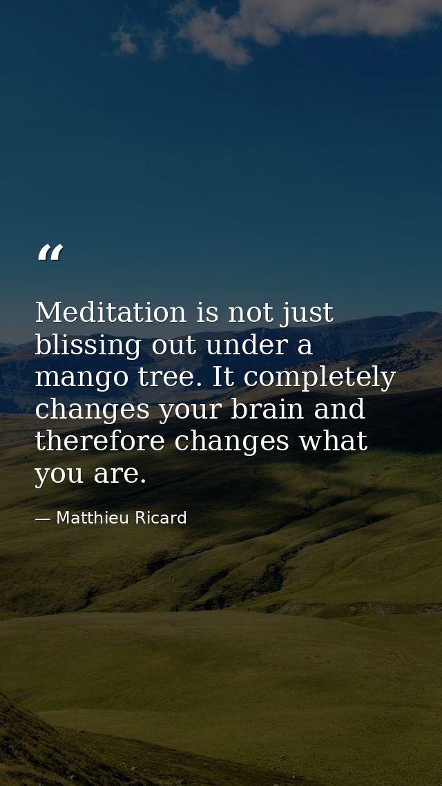 Meditation is not just blissing out under a mango tree. It completely changes your brain and therefore changes what you  — Matthieu Ricard