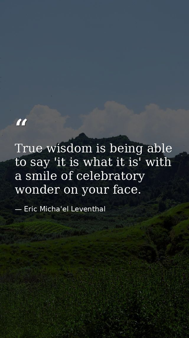 True wisdom is being able to say 'it is what it is' with a smile of celebratory wonder on your face. — Eric Micha'el Leventhal