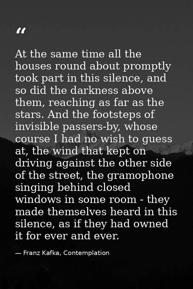 At the same time all the houses round about promptly took part in this silence, and so did the darkness above them, reac — Franz Kafka, Contemplation