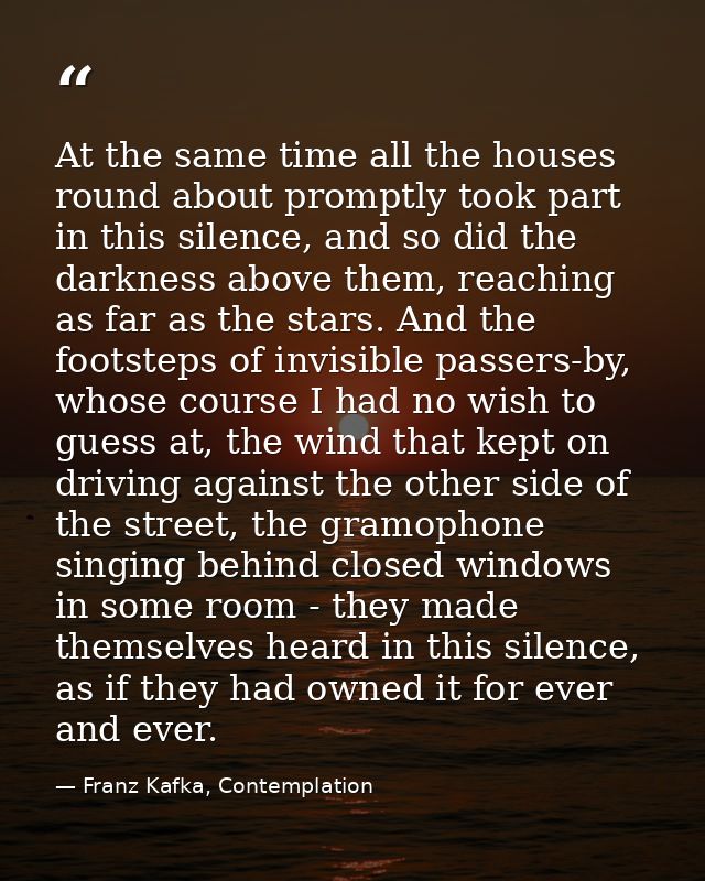 At the same time all the houses round about promptly took part in this silence, and so did the darkness above them, reac — Franz Kafka, Contemplation