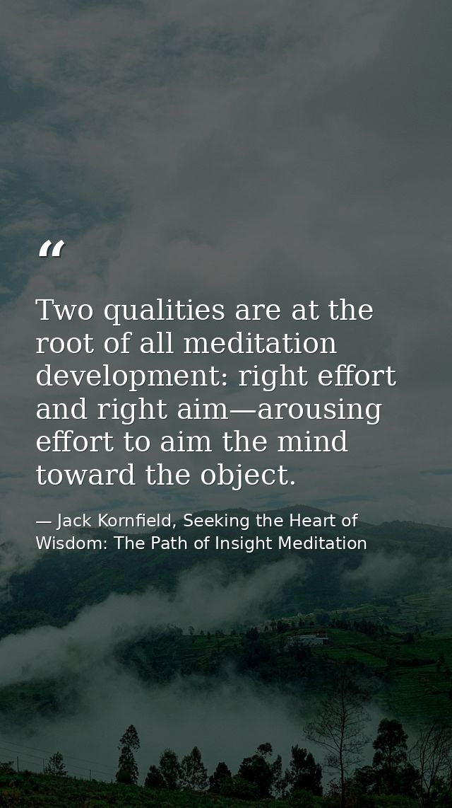 Two qualities are at the root of all meditation development: right effort and right aim—arousing effort to aim the mind  — Jack Kornfield, Seeking the Heart of Wisdom: The Path of Insight Meditation