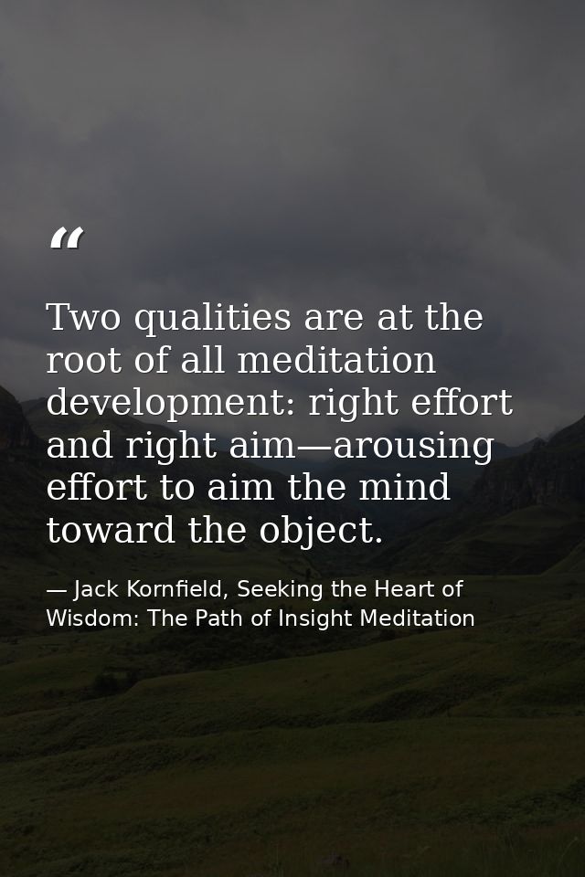 Two qualities are at the root of all meditation development: right effort and right aim—arousing effort to aim the mind  — Jack Kornfield, Seeking the Heart of Wisdom: The Path of Insight Meditation