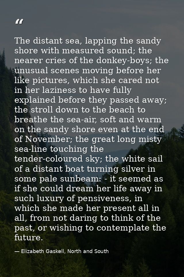The distant sea, lapping the sandy shore with measured sound; the nearer cries of the donkey-boys; the unusual scenes mo — Elizabeth Gaskell, North and South