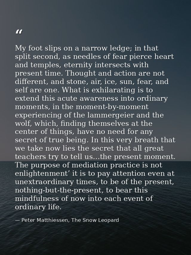 My foot slips on a narrow ledge; in that split second, as needles of fear pierce heart and temples, eternity intersects  — Peter Matthiessen, The Snow Leopard