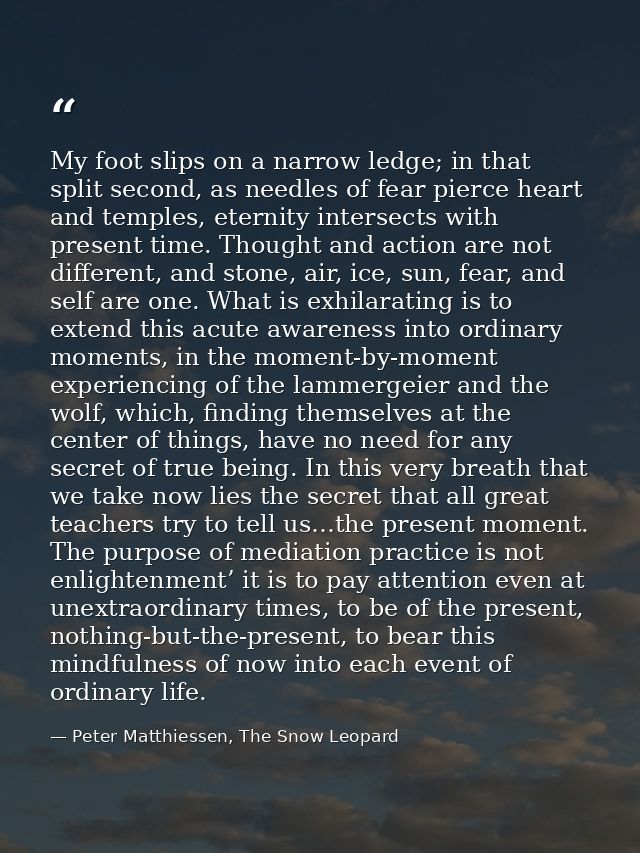 My foot slips on a narrow ledge; in that split second, as needles of fear pierce heart and temples, eternity intersects  — Peter Matthiessen, The Snow Leopard
