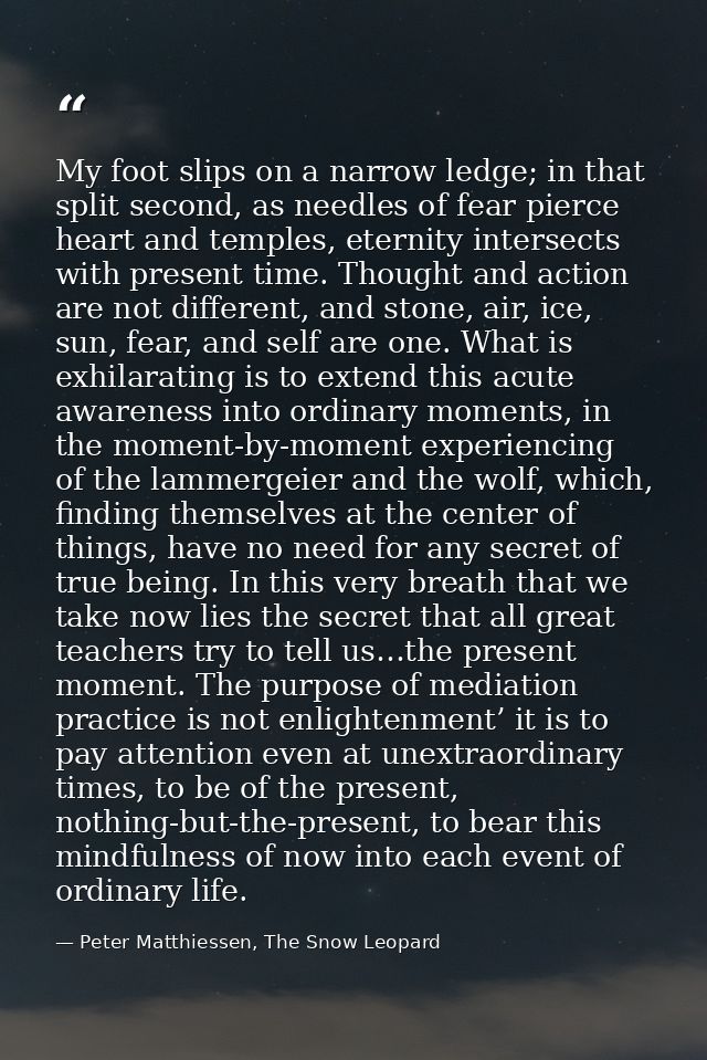 My foot slips on a narrow ledge; in that split second, as needles of fear pierce heart and temples, eternity intersects  — Peter Matthiessen, The Snow Leopard