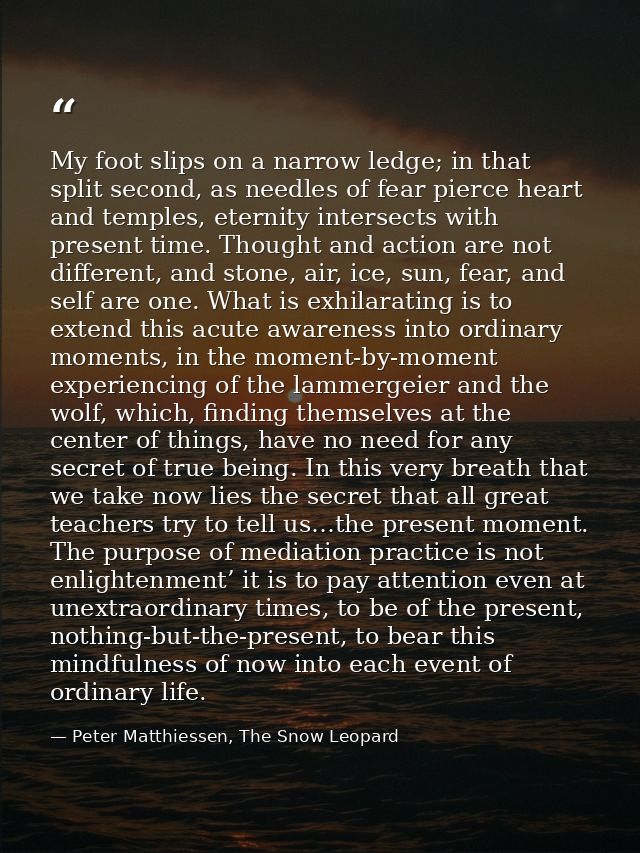 My foot slips on a narrow ledge; in that split second, as needles of fear pierce heart and temples, eternity intersects  — Peter Matthiessen, The Snow Leopard