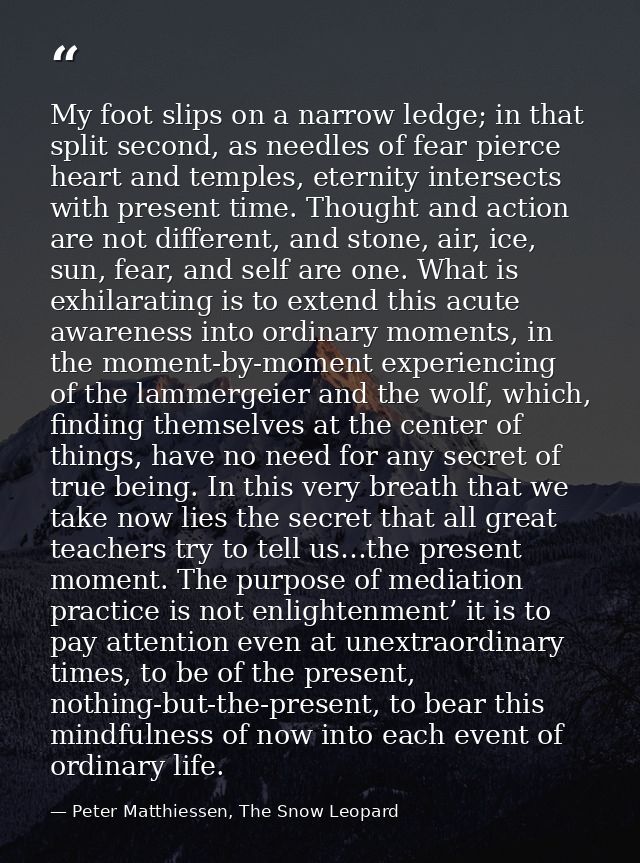 My foot slips on a narrow ledge; in that split second, as needles of fear pierce heart and temples, eternity intersects  — Peter Matthiessen, The Snow Leopard