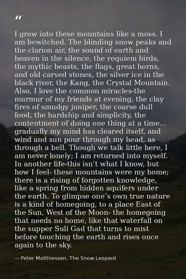 I grow into these mountains like a moss. I am bewitched. The blinding snow peaks and the clarion air, the sound of earth — Peter Matthiessen, The Snow Leopard