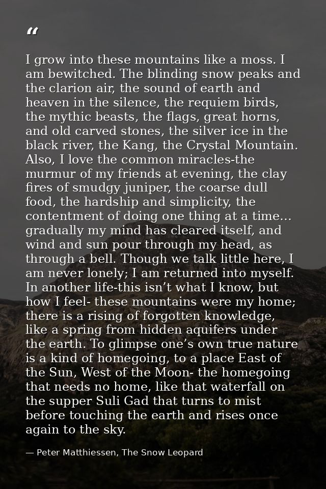 I grow into these mountains like a moss. I am bewitched. The blinding snow peaks and the clarion air, the sound of earth — Peter Matthiessen, The Snow Leopard
