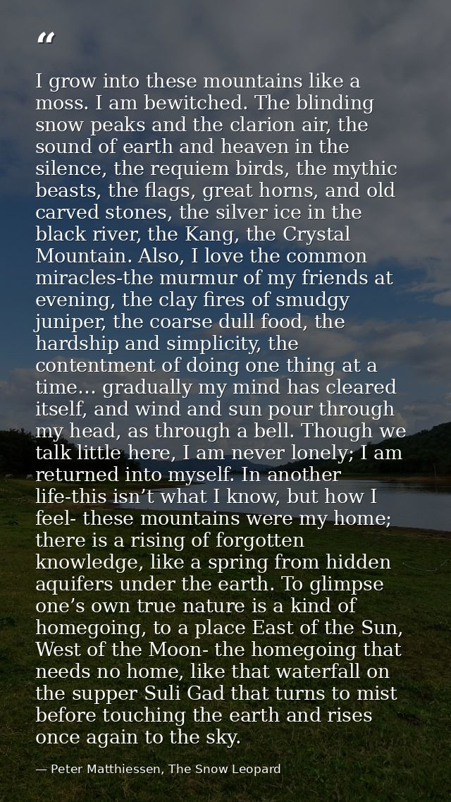 I grow into these mountains like a moss. I am bewitched. The blinding snow peaks and the clarion air, the sound of earth — Peter Matthiessen, The Snow Leopard