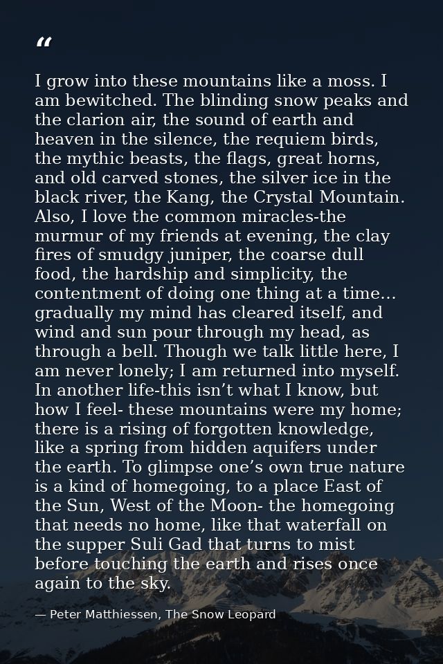 I grow into these mountains like a moss. I am bewitched. The blinding snow peaks and the clarion air, the sound of earth — Peter Matthiessen, The Snow Leopard