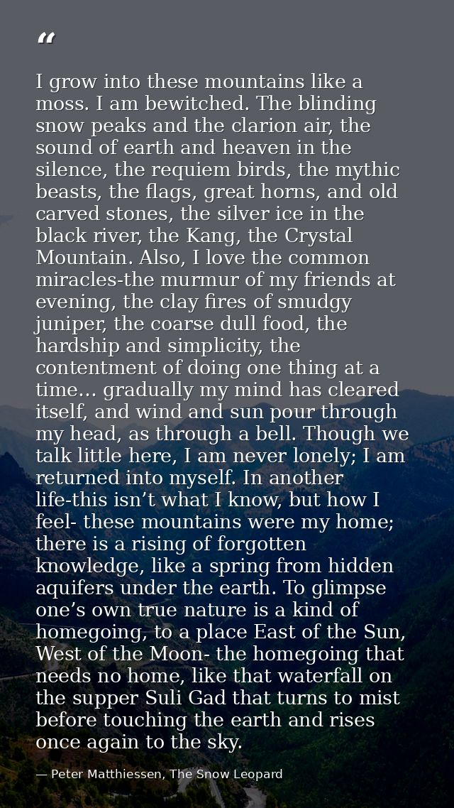 I grow into these mountains like a moss. I am bewitched. The blinding snow peaks and the clarion air, the sound of earth — Peter Matthiessen, The Snow Leopard