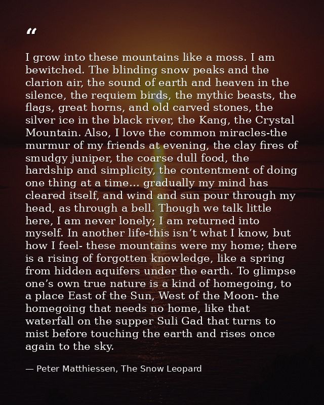 I grow into these mountains like a moss. I am bewitched. The blinding snow peaks and the clarion air, the sound of earth — Peter Matthiessen, The Snow Leopard
