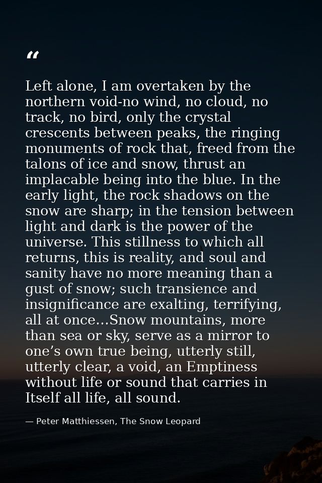 Left alone, I am overtaken by the northern void-no wind, no cloud, no track, no bird, only the crystal crescents between — Peter Matthiessen, The Snow Leopard